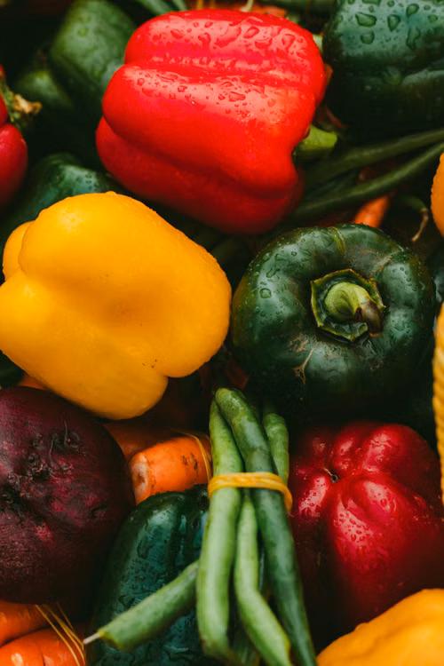 Plant-Based Favourites